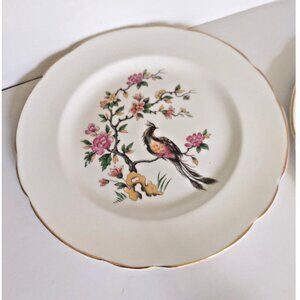 Staffordshire England Luncheon Plates 8" Bird of Paradise Set of 2